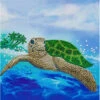 Crystal Art Card Kit - Turtle Paradise -TOYS'N'TUCK SALE 136650 a79020d5 cb2e 4c8e 8f93 4612ed65a2a5