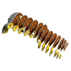 Eugy 3D Model 104 Tortoise -TOYS'N'TUCK SALE 375020 bd53d400 1f96 4c74 adf0 b04b77725020