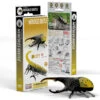 Eugy 3D Model 112 Hercules Beetle -TOYS'N'TUCK SALE 430390 c49d472a 1559 4361 80df b341ccee9f35