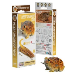 Eugy 3D Model 117 Desert Spadefoot Toad