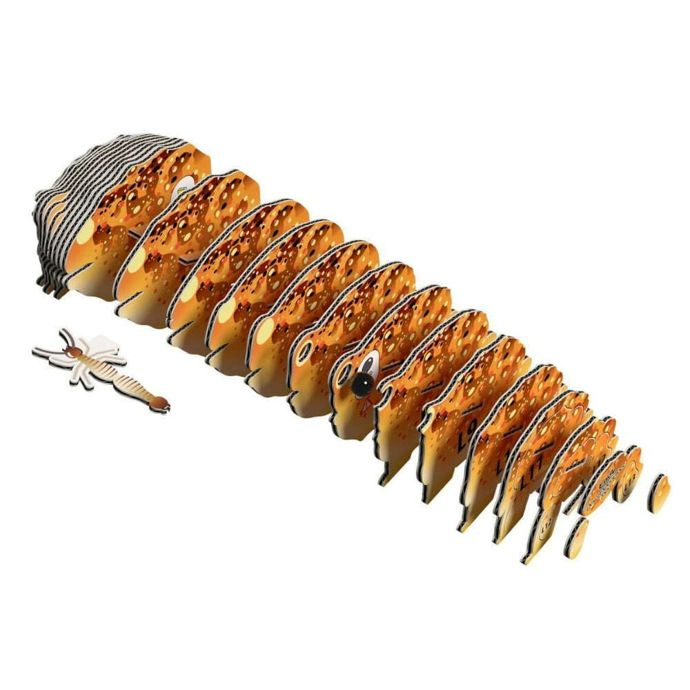 Eugy 3D Model 117 Desert Spadefoot Toad 6 Eugy 3D Model 117 Desert Spadefoot Toad - Image 4