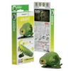 Eugy 3D Model 099 Kakapo -TOYS'N'TUCK SALE 442230 04833e44 224c 479b 8479 65ed6408ec02