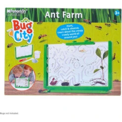 Bug City Ant Farm